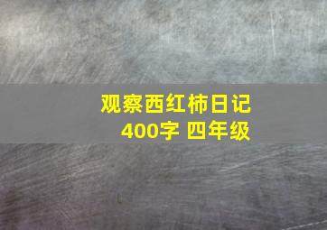 观察西红柿日记400字 四年级